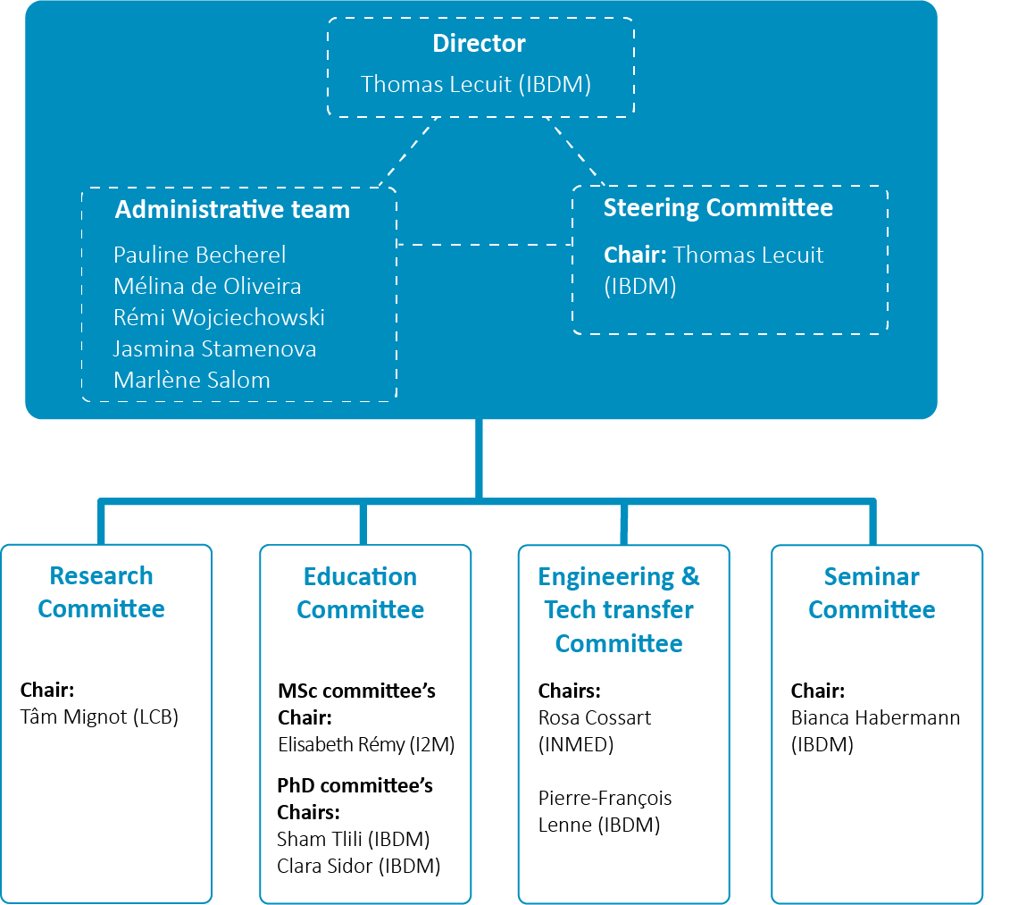 Organigramme Update September 2024