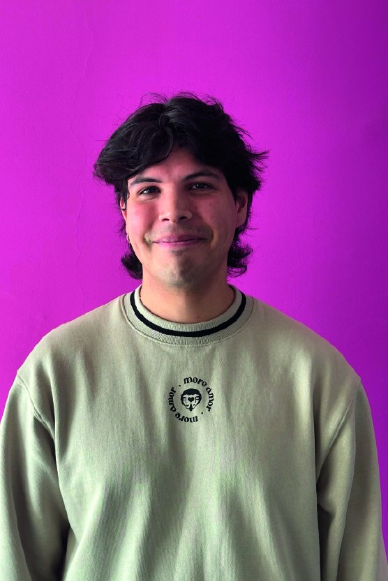 Pablo Alejandro Perez Bastias | PhD Student